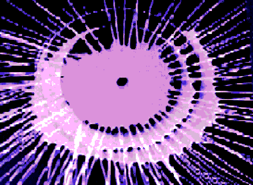 OneSwitch spiral art/digitiser/Atari ST art created by Claire Sutton. Purple digitised flower almost.