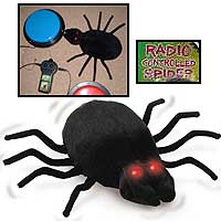Adapted Radio Controlled Spider.