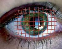 Eye Trackers, Gaze Control and Blink switches.